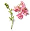 Willowherb